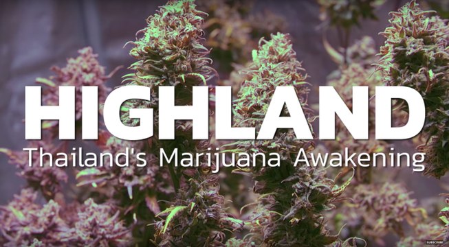 HIGHLAND: Thailand's Marijuana Awakening (trailer) | Coconuts TV on Netflix