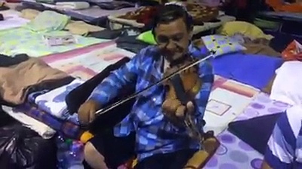 malo violine
