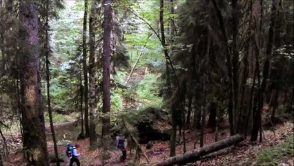 MBBS in Russia, Admission Process