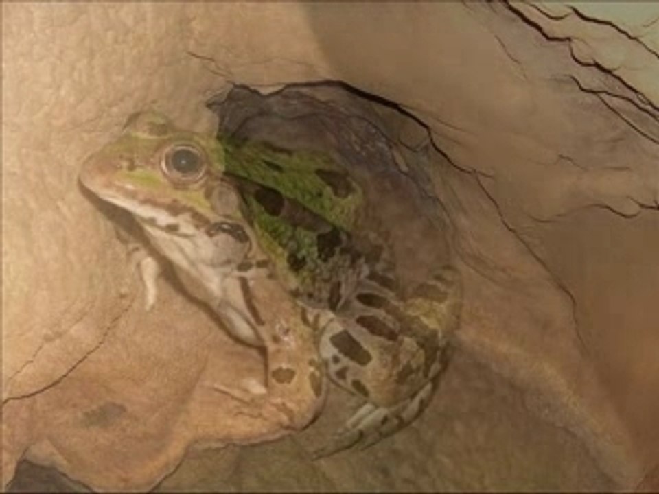 CAVE FENEOS HOLE GREECE KORINTHIA