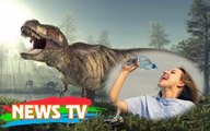 Phát hiện gây sốc: Con người đang uống nước tiểu khủng long