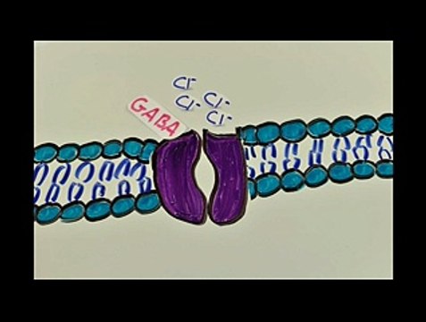 Buy Xanax Online Without RX - Prescription for Anxiety