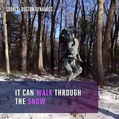 Este robot se esfuerza por caminar sobre terreno irregular como un ...