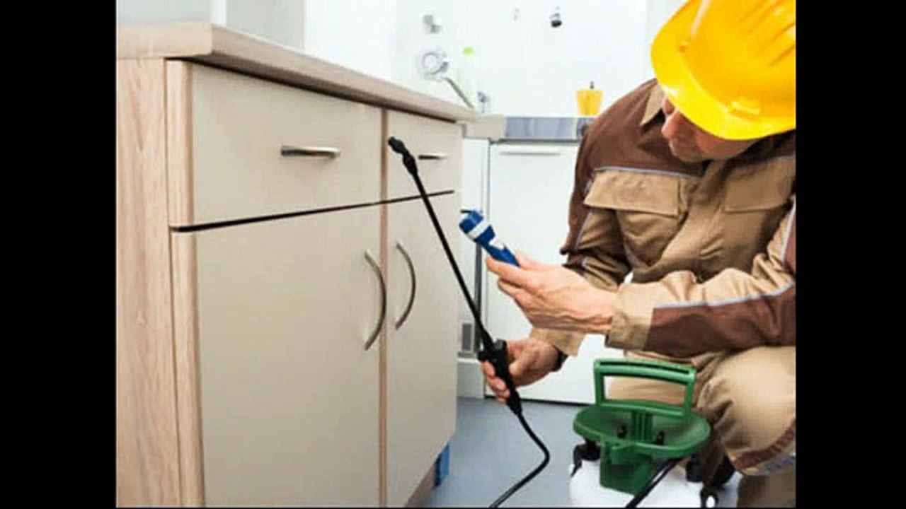 How Much Does Bed Bug Heat Treatment Cost Video Dailymotion