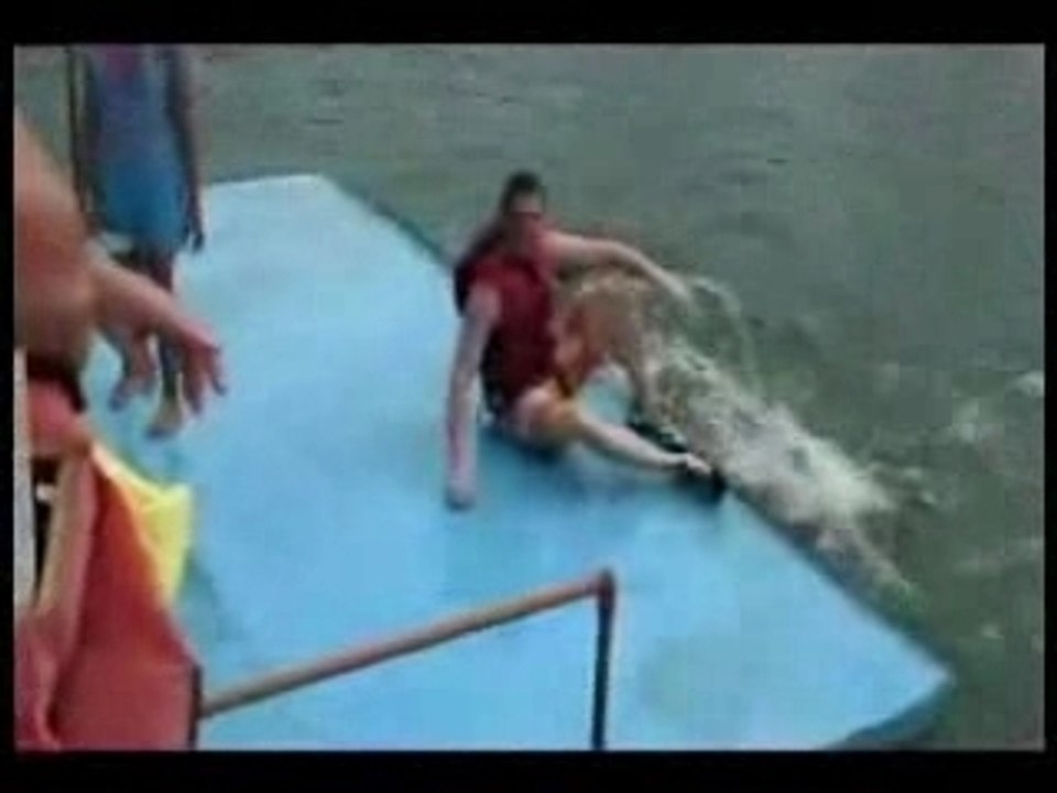 golfinho_taradao