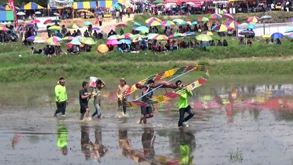 Thai Rocket Festival 2017