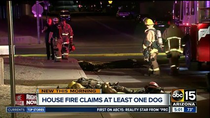Two dogs die in north Phoenix house fire, homeowner blames generator