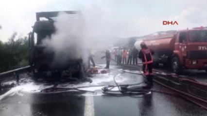 Alev Alev Yanan TIR'ı Kurtarmaya Çalışan Sürücü Hastanelik Oldu