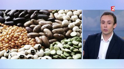 Allergies : quelles en sont les causes ?