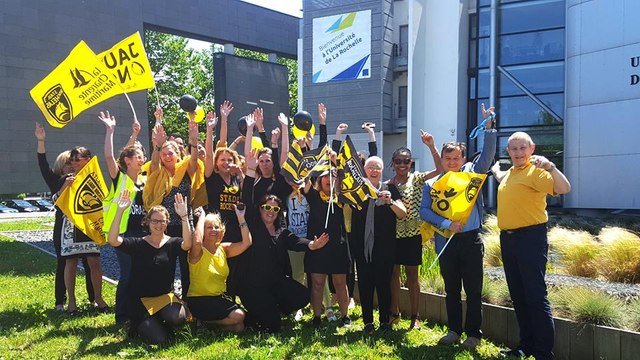 Stade Rochelais : vos photos en jaune et noir