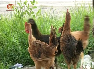 سكان الصعيد المصري ينقذون جيوبهم في رمضان