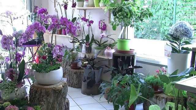 Hautes-Alpes : on se prépare à la fête des mères à Embrun