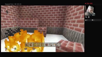 Minecraft Roleplay Zombie Apocalypse (27)