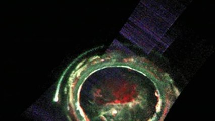 The Complexity of Jupiter's 'Southern Lights'