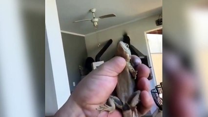 Ce papa va faire une sale blague à sa fille...