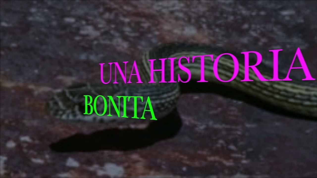 HISTORIA PERRA Y NIÑA