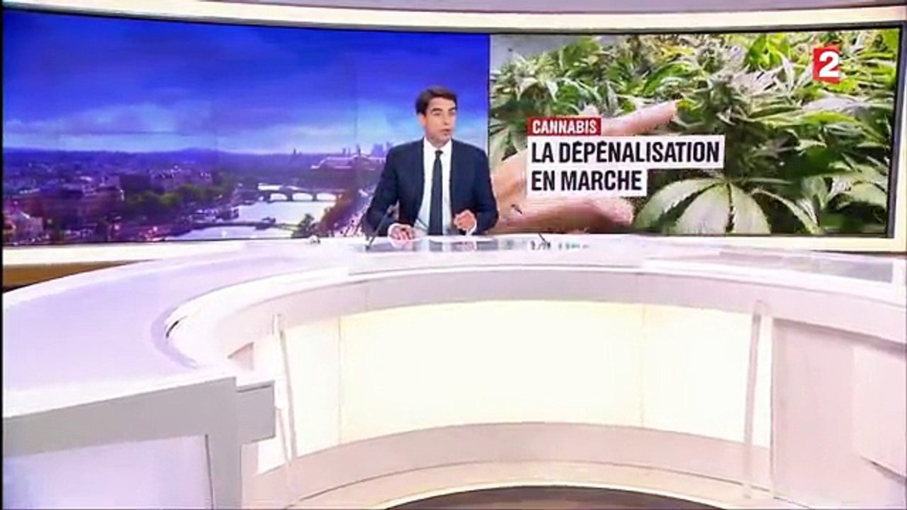 Stupéfiants : la contraventionnalisation, une mesure de bon sens