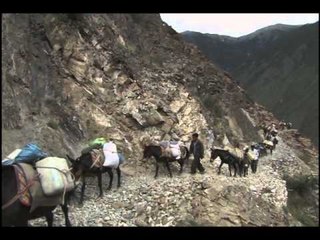 [AD] Wonder Girls - The Ancient Tea Route - BC Global Card_AD (Nobody)