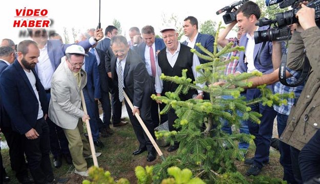 (26 MAYIS 2017) 248 ŞEHiDE, 248 BiN FiDAN. BAKAN ÖZHASEKİ ‘15 TEMMUZ ŞEHİTLERİ’ ANISINA FİDAN DİKTİ