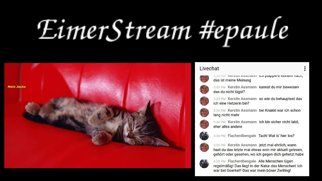 #eimer #stream mit #chat Part 1