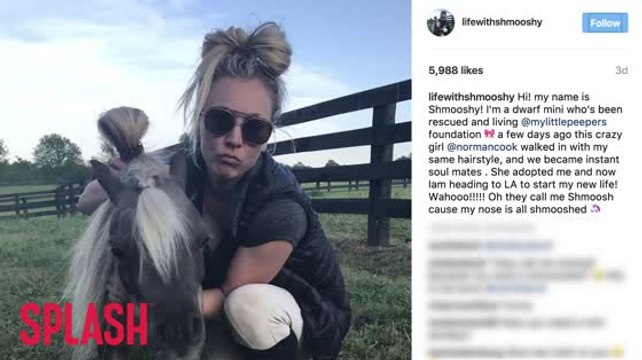 Kaley Cuoco Adopts New Mini Pony Named Schmooshy