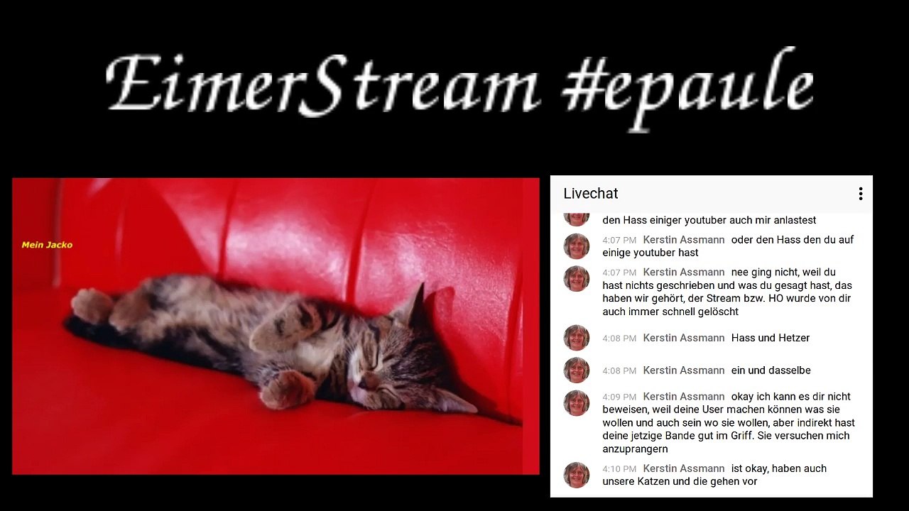 #eimer #stream mit #chat Part 2