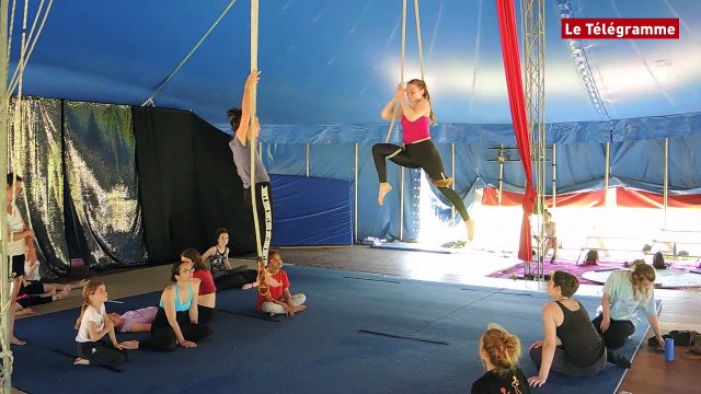 Pleumeur-Bodou (22). Gare au gorille