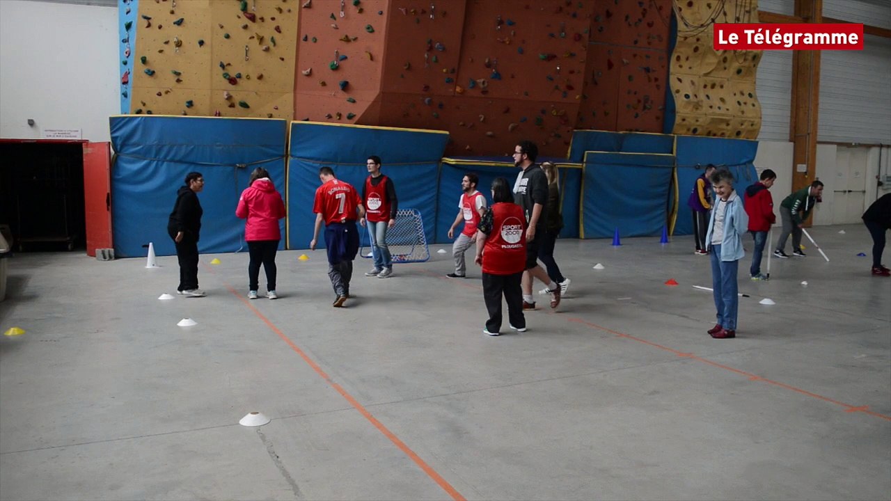 Guipavas (29). Don Bosco : 70 sportifs au Moulin-Neuf