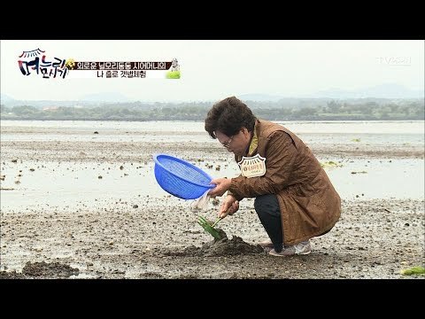 며느리 뺏기고 홀로 쓸쓸히 남은 시어머니 [며느리 모시기] 6회 20170526