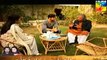 Dil E Jaanam Episode 13 Hum TV Drama 26 May 2017