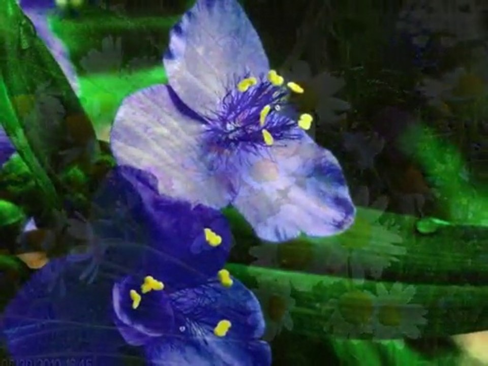 Akşamı getiren sesleri dinle, Dinle de gönlümü alıver gitsin. Saçlarımdan tutup kor gözlerinle Yaşlı gözlerime dalıver gitsin.  Güneşle köye