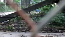 [MP4 720p] Leopard vs Humans at Zoo New 2016 When Animals attacks at Zoo Funny Videos Viral