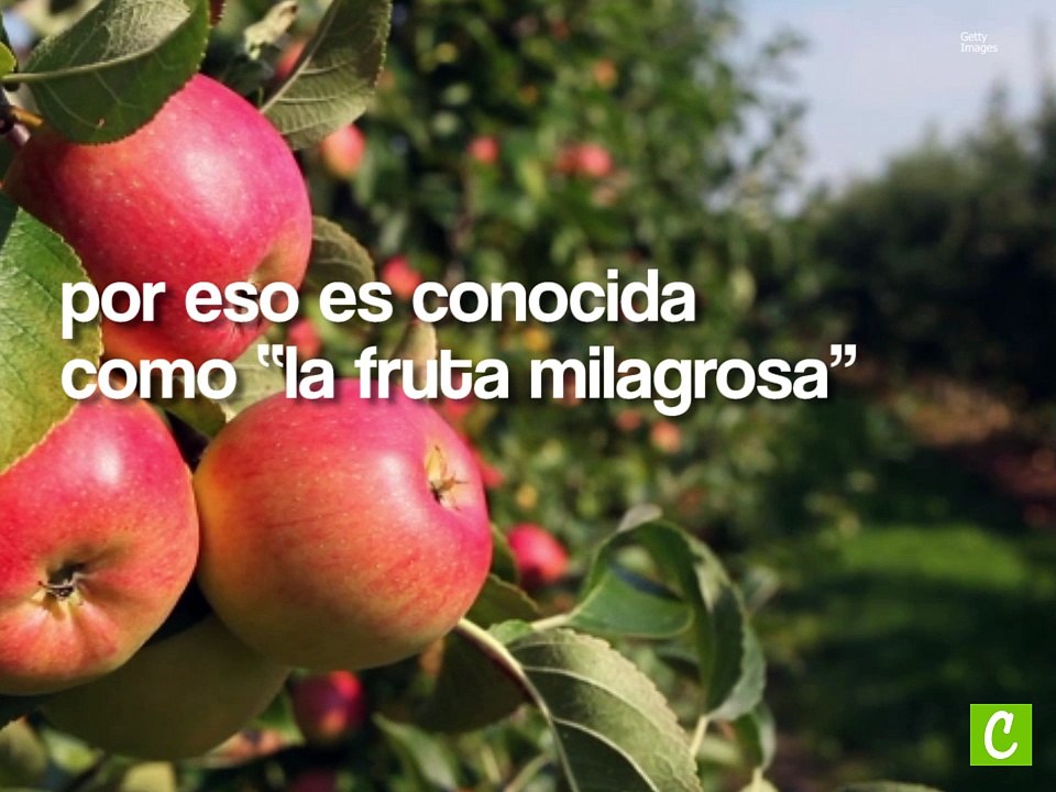 Top 5 de los alimentos más saludables-