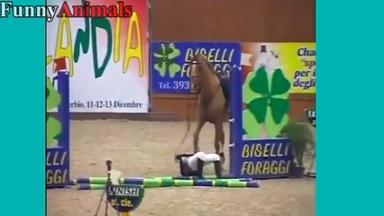 FUNNY HORSES - Funny Horse Videos Compilation 2017 [NEW]