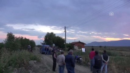 Aydın'da Kaçak Domuz Eti Operasyonu