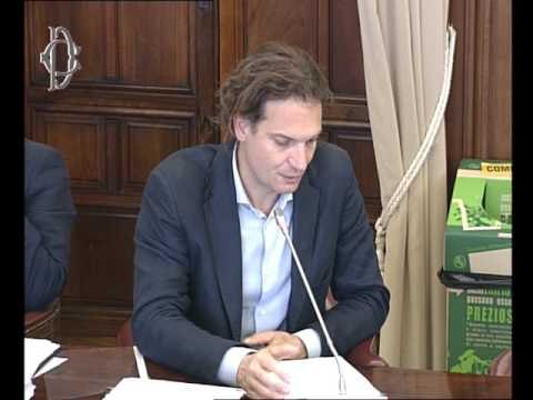 Roma - Affidabilità fiscale esercenti attività d’impresa, audizione esperti (24.05.17)