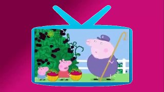 ᴴᴰ PEPPA PIG Full 5 hours English Episodes 2014 - FULL OFFICIAL Part 03 part 5/5