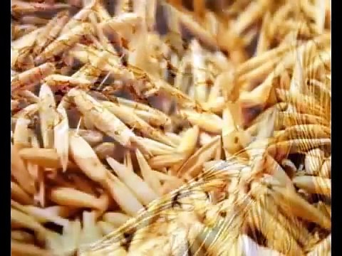 Хронический панкреатит лечение, симптомы и диета