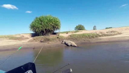 Giant Crocodile Scares Fishermen in Western Australia