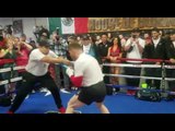 Canelo Alvarez The King Of Mexican Boxing - EsNews Boxing