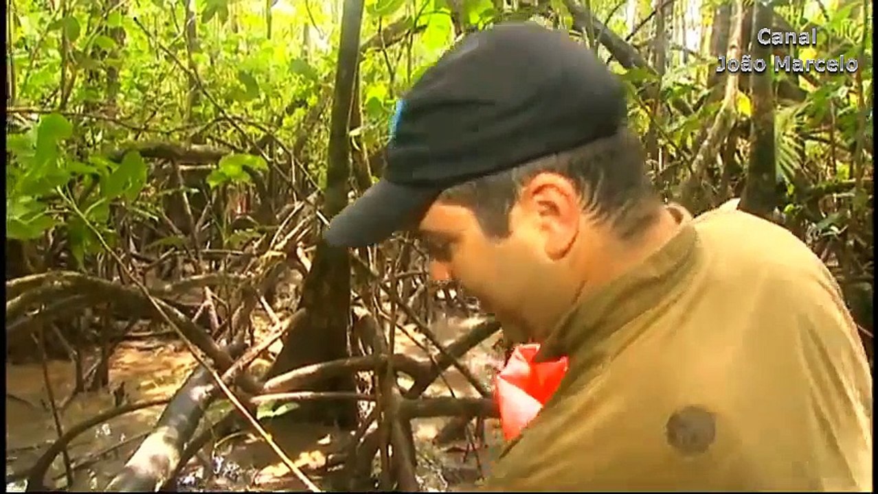 Terra Da Gente - Operação Prato