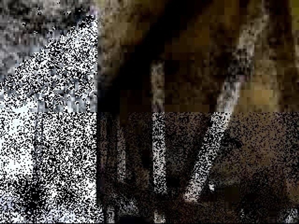 Idiot tötet sich mit Lichtschwert