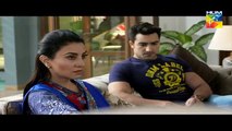 Sangsar Episode 13 Full HD HUM TV Drama 19 April 2017