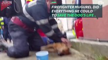 Firefighter performs CPR on dying dog-mpPSAsLXc0U