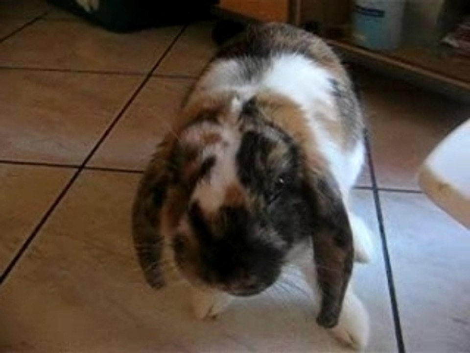 Photo 033