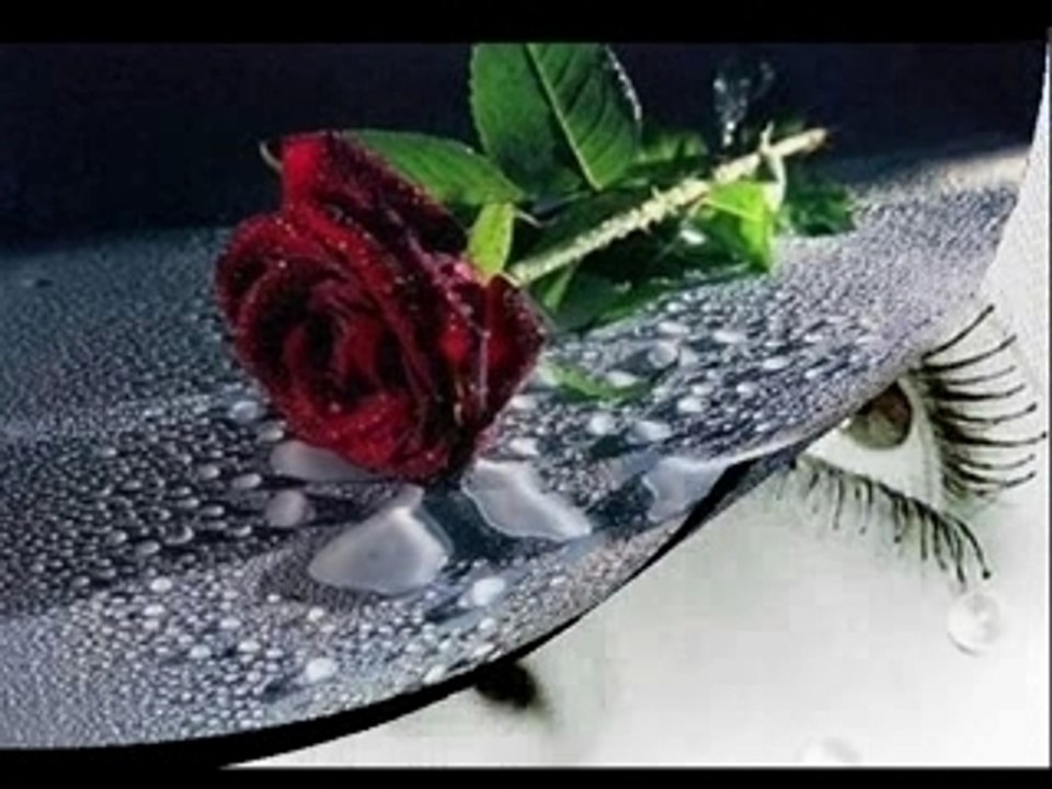 Sleeping sun .... c.k