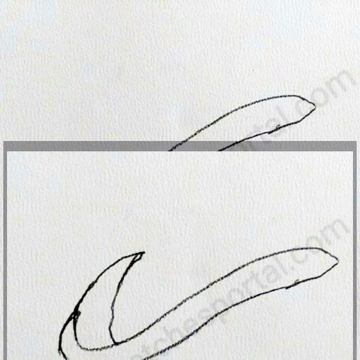 How to Draw a Eel In 8 steps
