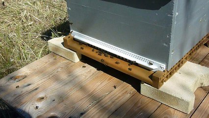 26/05/17 Colonie "Saparella II"