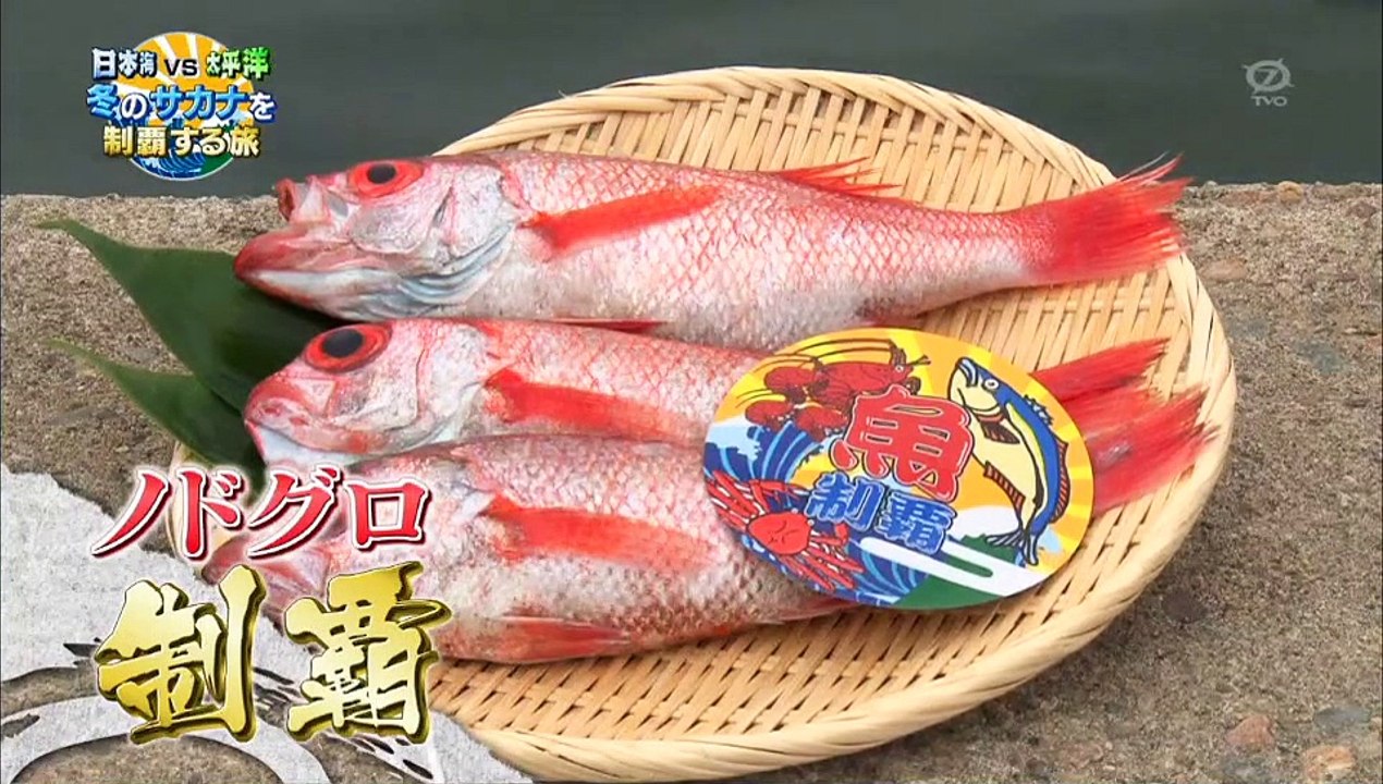 土曜スペシャル「日本海vs太平洋　今が旬！冬のサカナを制覇する旅」「Ｕ字工事　どぶろっく」「後半」「高画質」2016年12月3日（土）2016 12 03