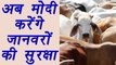 Modi Government restricts cattle trade in animal market | वनइंडिया हिंदी